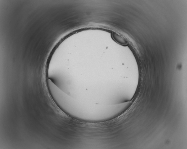 X0000116851280201001191633