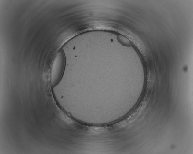 X0000116851281201001191633