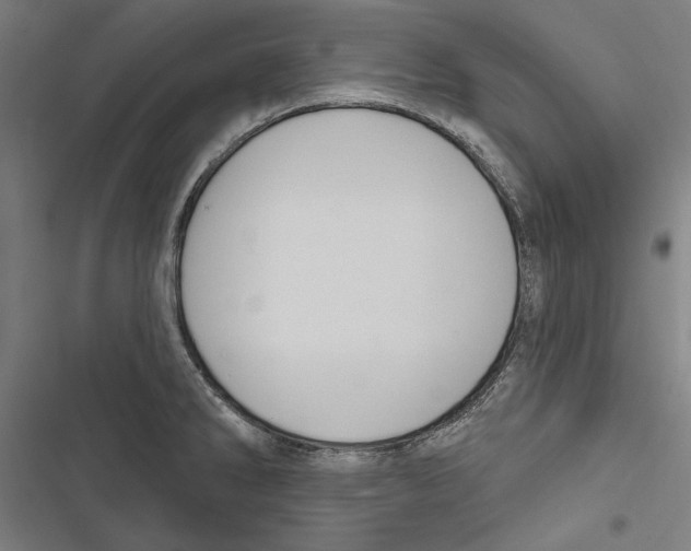 X0000116851286201001191633