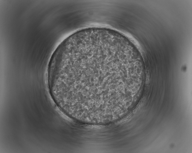 X0000116851287201001191633