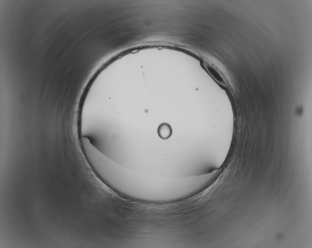 X0000116851288201001191633