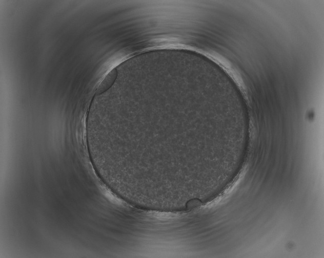 X0000116851289201001191633