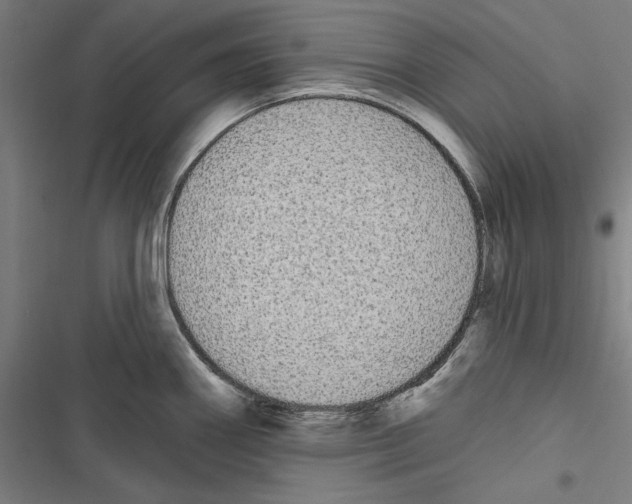 X0000116851290201001191632