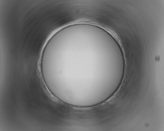 X0000116851296201001191632