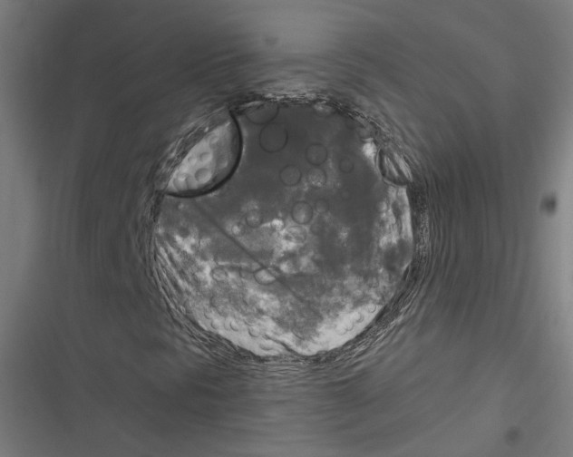 X0000116851297201001191632