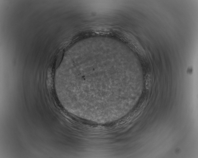 X0000116851298201001191632
