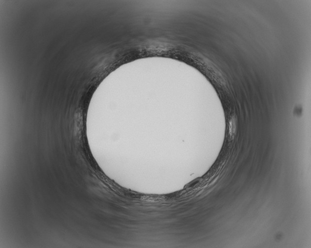 X0000116851299201001191632