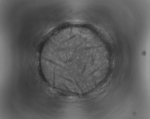 X0000116851301201001191632