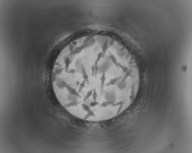 X0000116851302201001191632