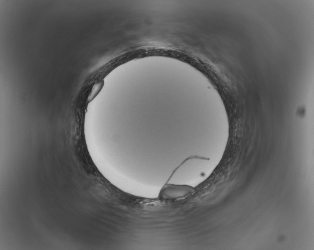 X0000116851303201001191632