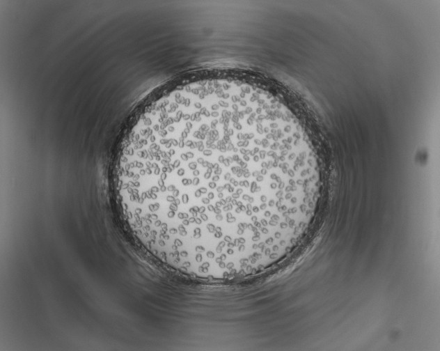 X0000116851305201001191632