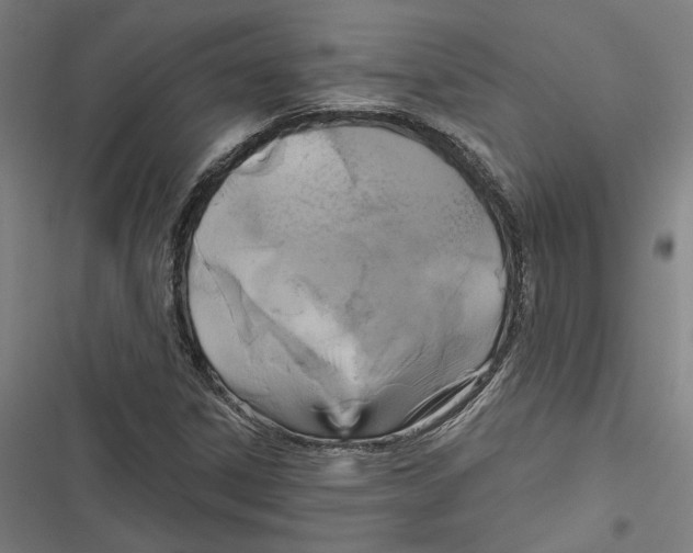 X0000116851306201001191632
