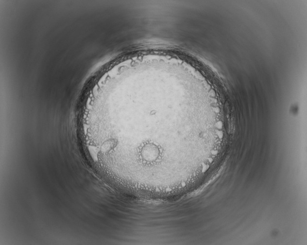 X0000116851309201001191632