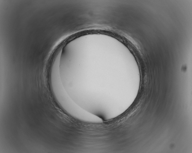 X0000116851310201001191632
