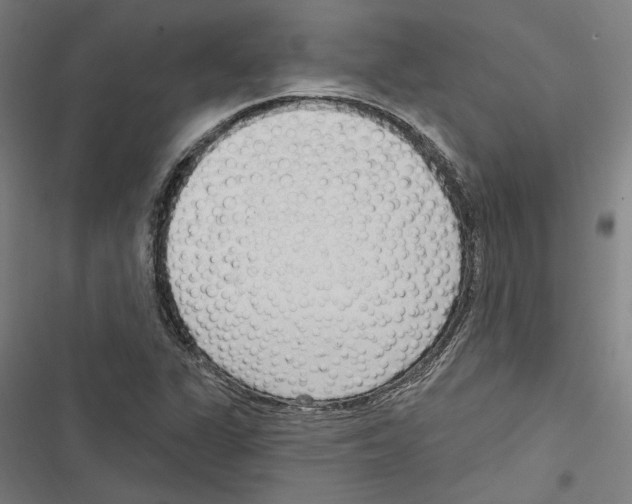 X0000116851311201001191632