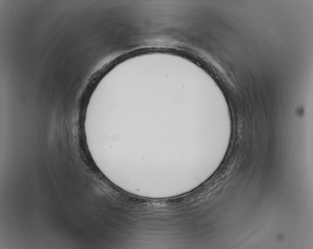 X0000116851315201001191632