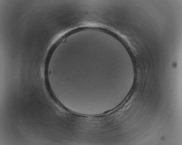 X0000116851319201001191632