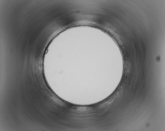 X0000116851322201001191632