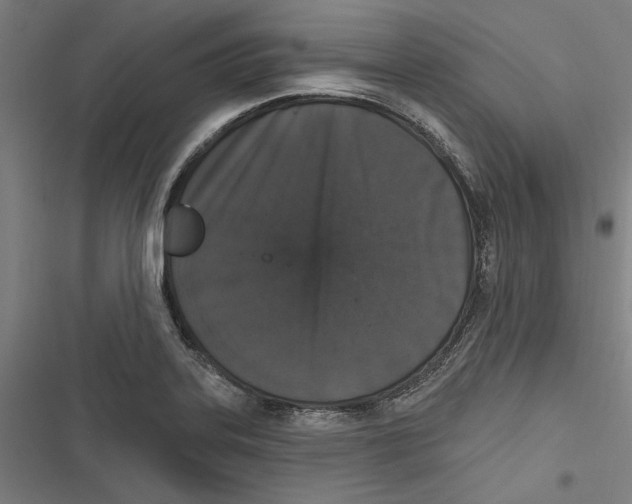 X0000116851323201001191632