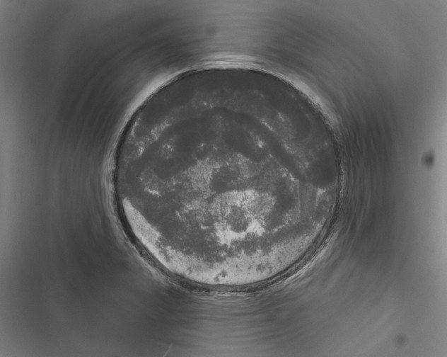 X0000116851325201001191632