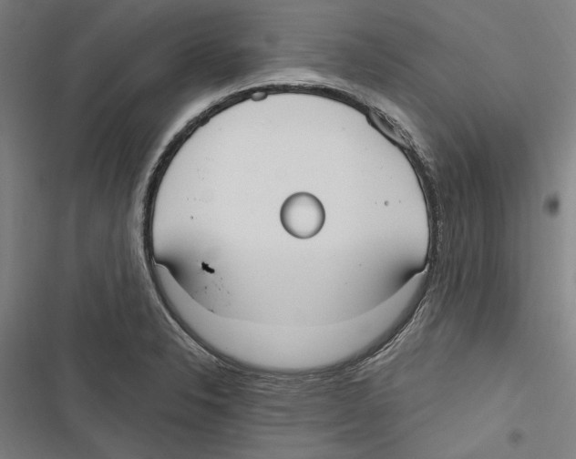 X0000116851326201001191632