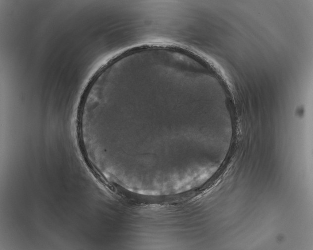 X0000116851327201001191632