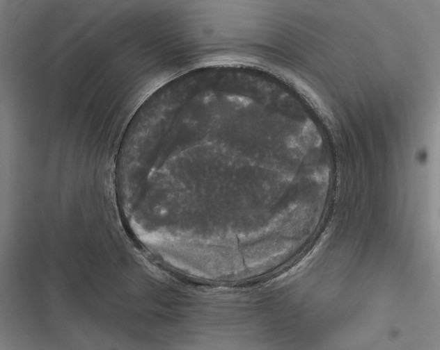 X0000116851329201001191632