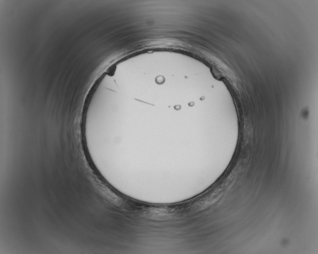 X0000116851330201001191632