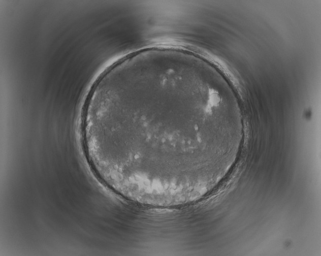 X0000116851331201001191632
