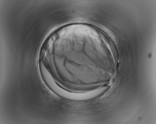 X0000116851334201001191632