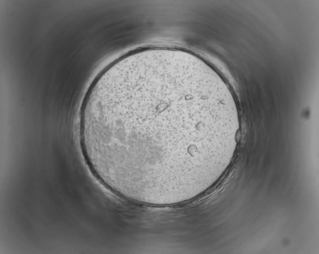 X0000116851335201001191632