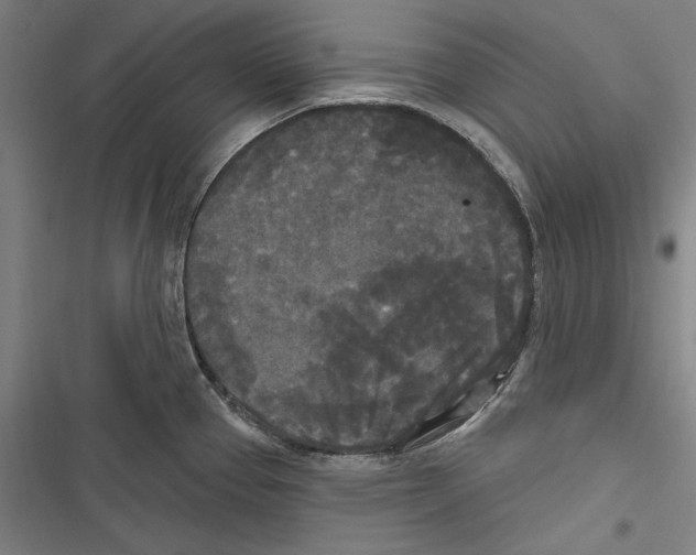 X0000116851337201001191632
