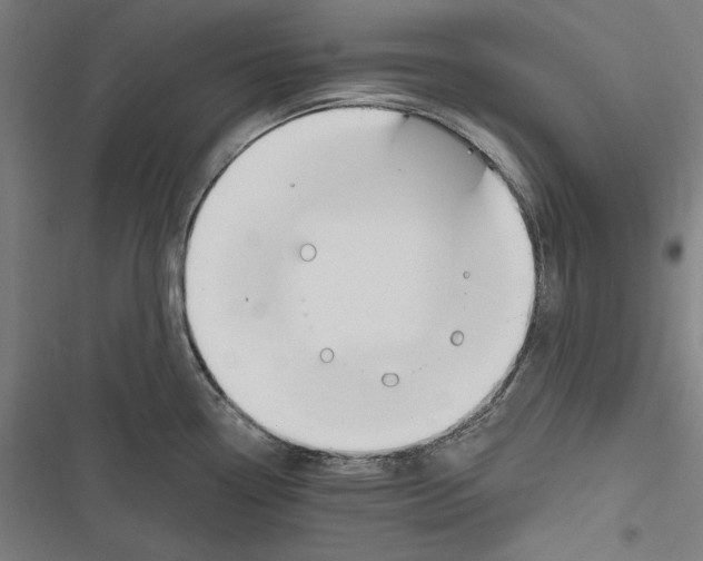 X0000116851338201001191632