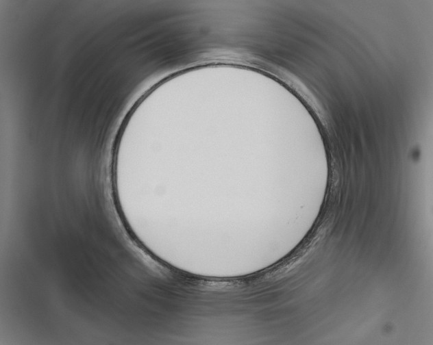 X0000116851339201001191632