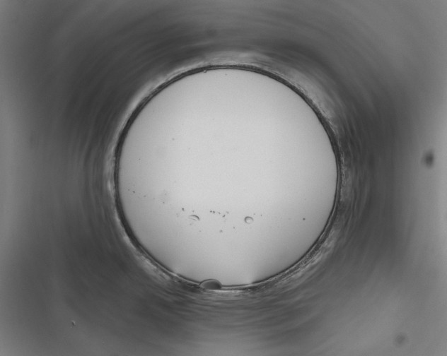 X0000116851342201001191632