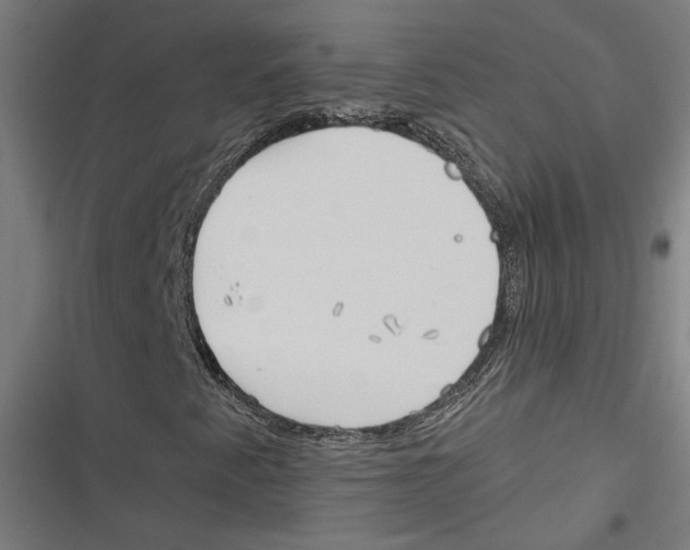 X0000116851345201001191632