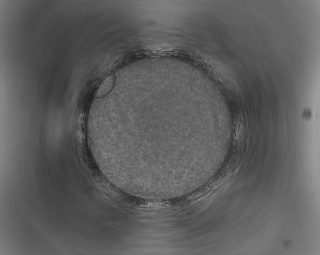 X0000116851346201001191632