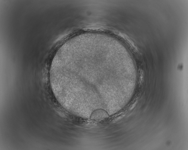 X0000116851350201001191632