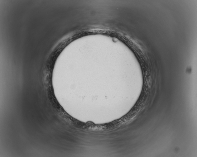 X0000116851351201001191632