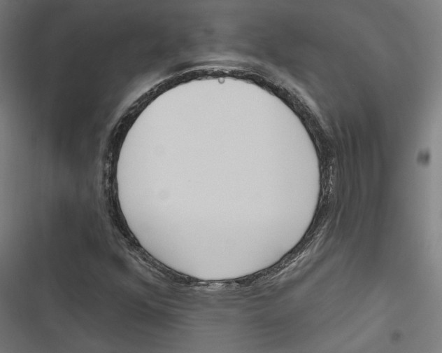 X0000116851352201001191632