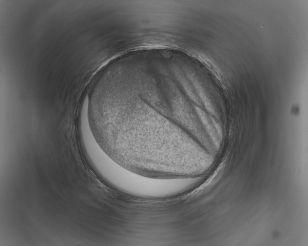 X0000116851353201001191632