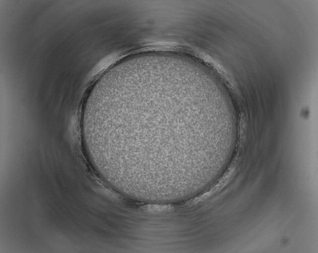 X0000116851354201001191632