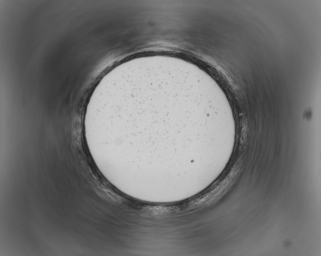 X0000116851355201001191632