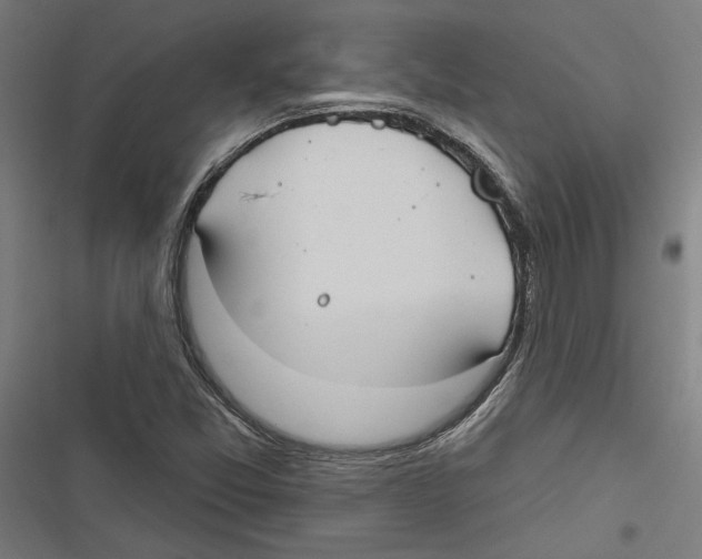 X0000116851357201001191632