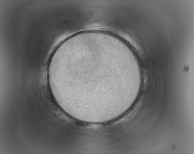 X0000116851358201001191632