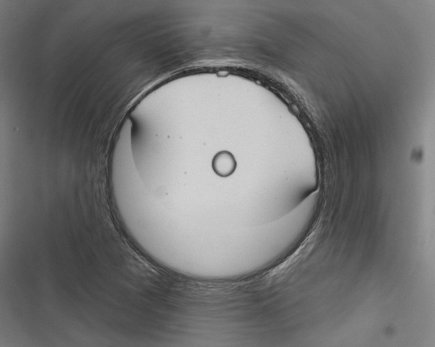 X0000116851361201001191632