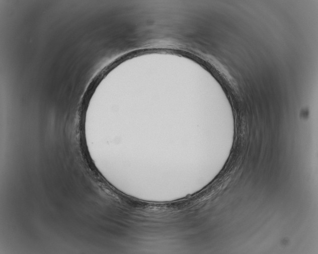 X0000116851364201001191631