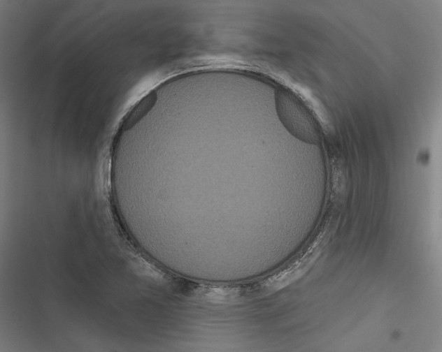 X0000116851365201001191631