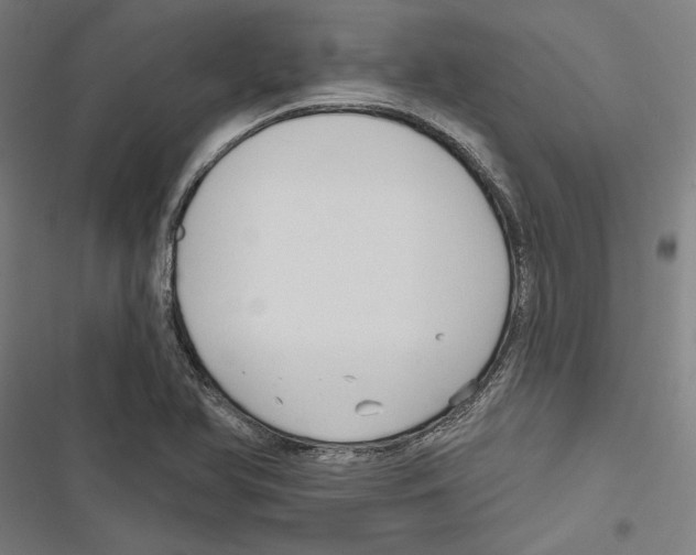 X0000116851366201001191631