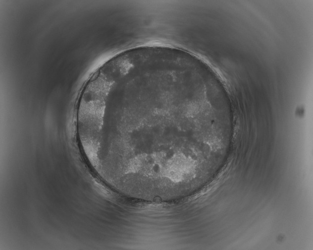 X0000116851367201001191631